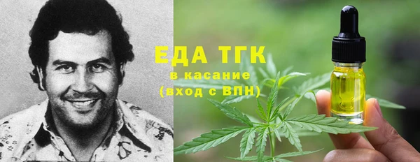 spice Богородицк