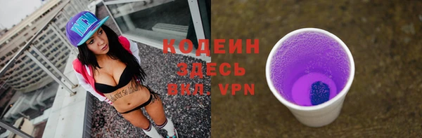 spice Богородицк