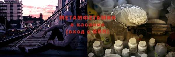 прущие грибы Белокуриха