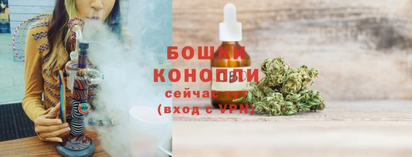 прущие грибы Белокуриха