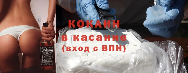 гидра Богородск