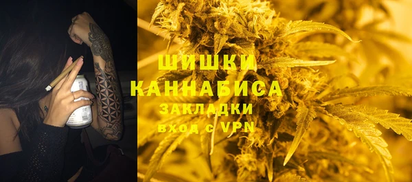 spice Богородицк