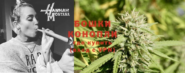 прущие грибы Белокуриха