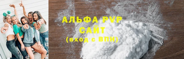 spice Богородицк