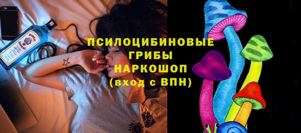 гидра Богородск