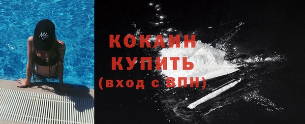 гидра Богородск