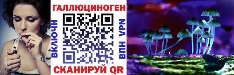 ссылка на мегу зеркало наркота Вязьма Псилоцибиновые грибы ЛСД
