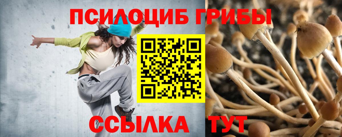 Псилоцибиновые грибы Psilocybe  Вход с VPN  продажа наркотиков  Вязьма 
